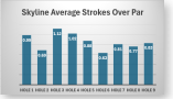 Skyline Avg Per Nine